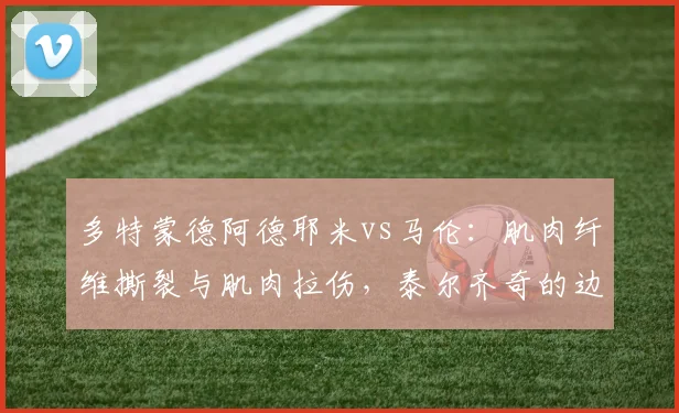 多特蒙德阿德耶米vs马伦：肌肉纤维撕裂与肌肉拉伤，泰尔齐奇的边路爆破计划