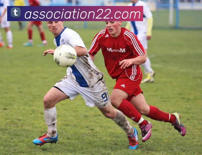 AI Risk Control